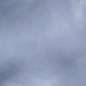 Meet your Posher, Annelise